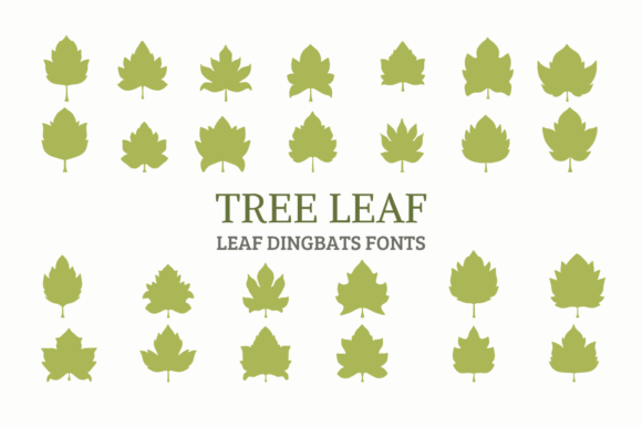 Tree Leaves: A Designer’s Review